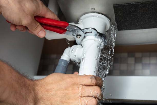 Best Ceiling water damage repair  in Leisure City, FL