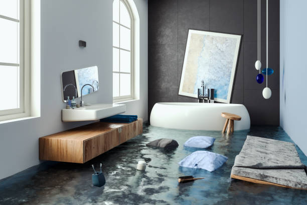 Best Professional water damage repair  in Leisure City, FL