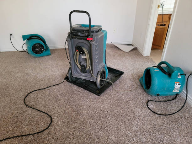 Best Water damage repair service  in Leisure City, FL