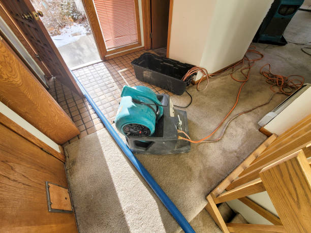Best Carpet water damage restoration  in Leisure City, FL