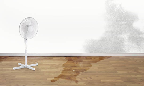Best Flood restoration services  in Leisure City, FL