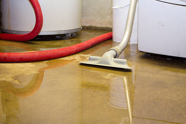 Best Water damage restoration near me  in Leisure City, FL