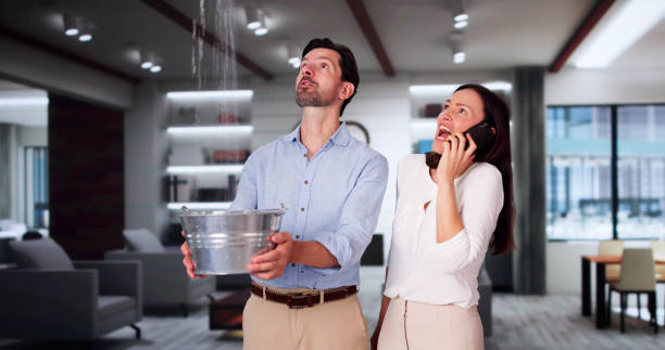 Best Mold removal after water damage  in Leisure City, FL