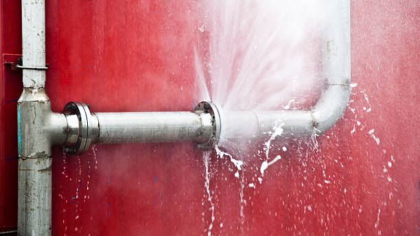 Best Commercial water damage restoration  in Leisure City, FL